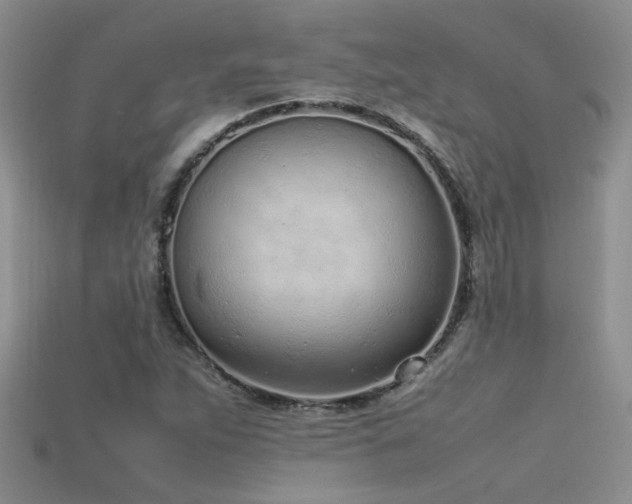 X0000115761263200911131148