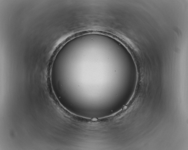 X0000115761264200911131148