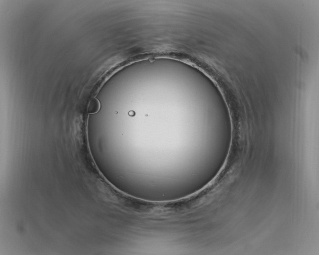 X0000115761265200911131148