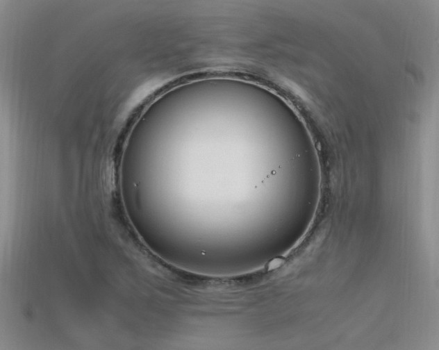X0000115761267200911131148