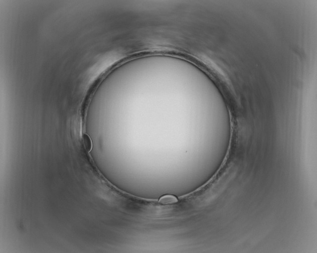 X0000115761269200911131148
