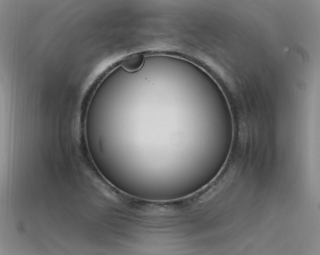 X0000115761270200911131148