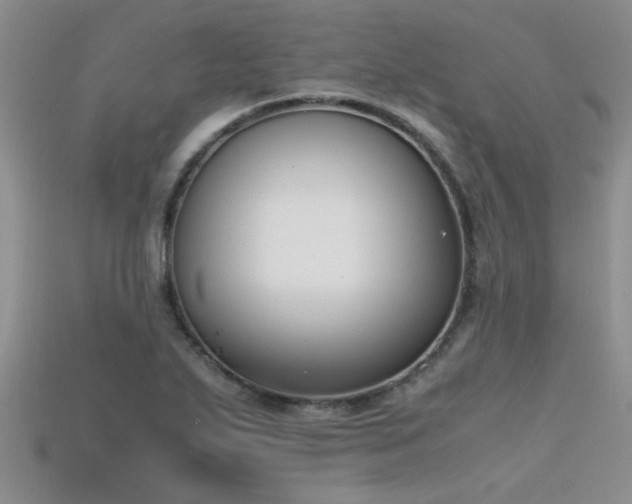 X0000115761271200911131148