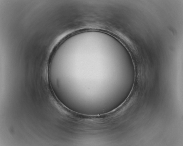 X0000115761272200911131148