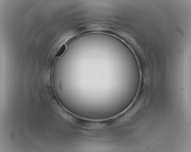 X0000115761273200911131148