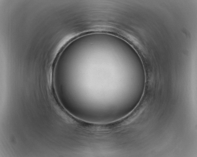 X0000115761275200911131148