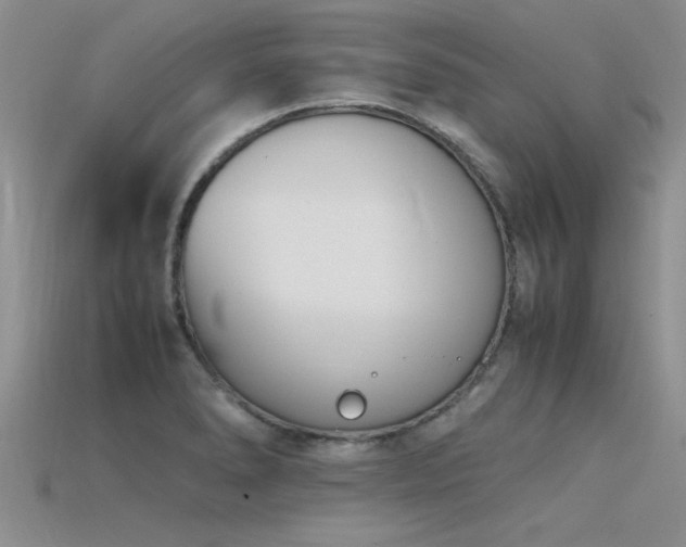 X0000115761278200911131148