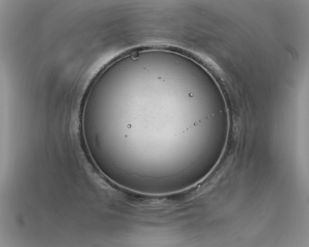X0000115761279200911131148