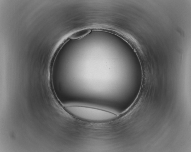 X0000115761280200911131148