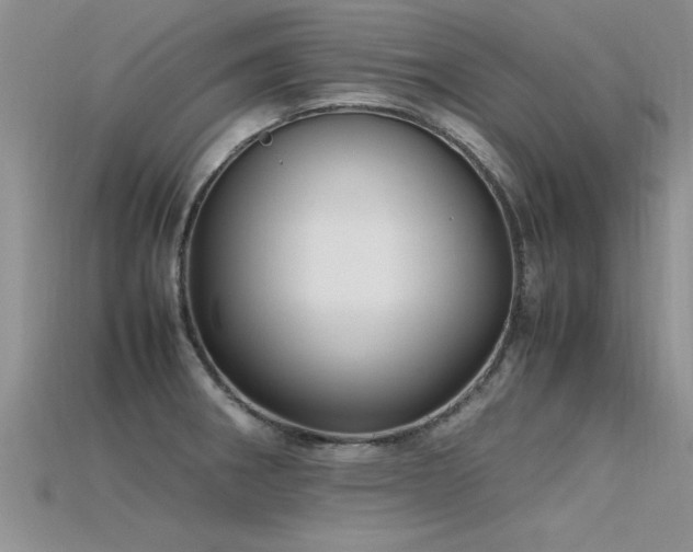 X0000115761282200911131148