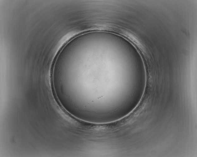 X0000115761283200911131148