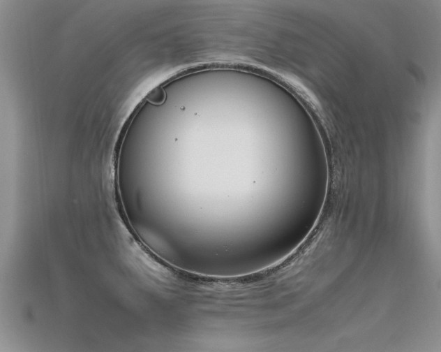 X0000115761287200911131148