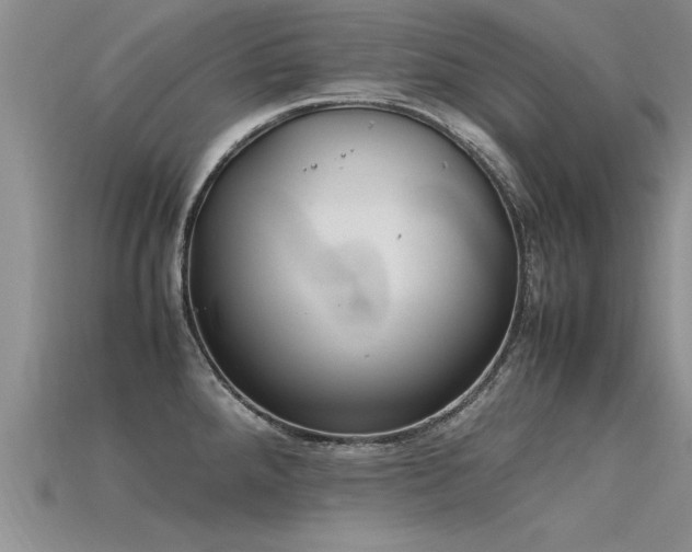 X0000115761288200911131148