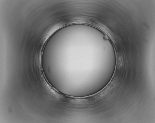 X0000115761290200911131148