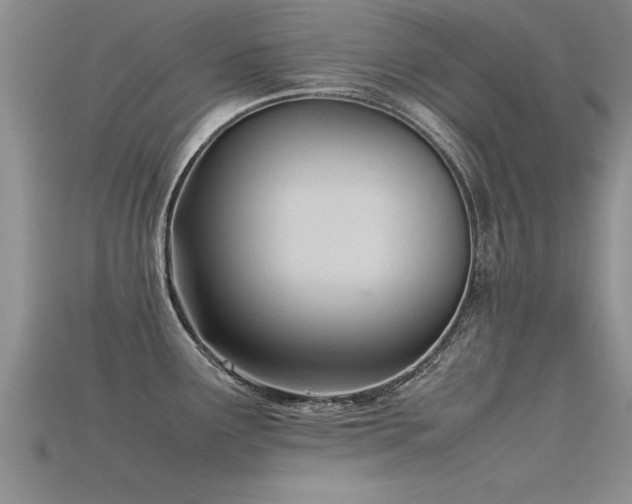 X0000115761291200911131148