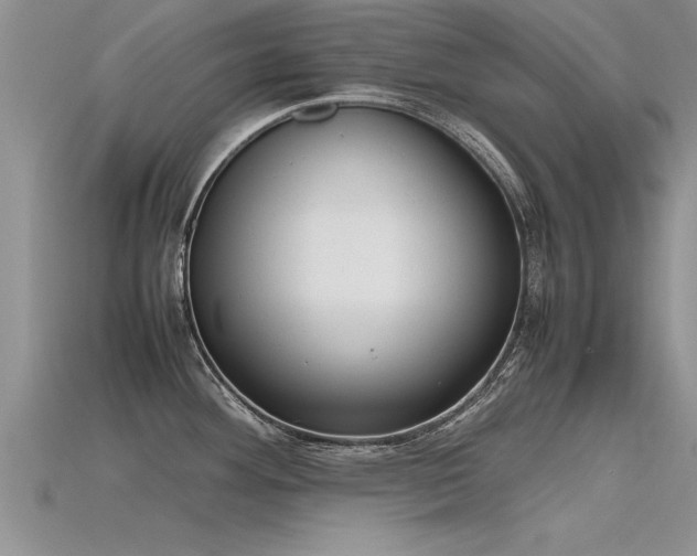 X0000115761292200911131148