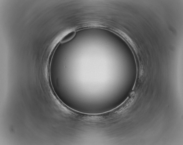 X0000115761293200911131148