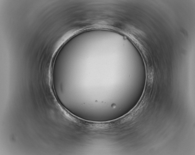 X0000115761294200911131148