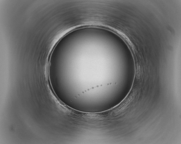 X0000115761295200911131148
