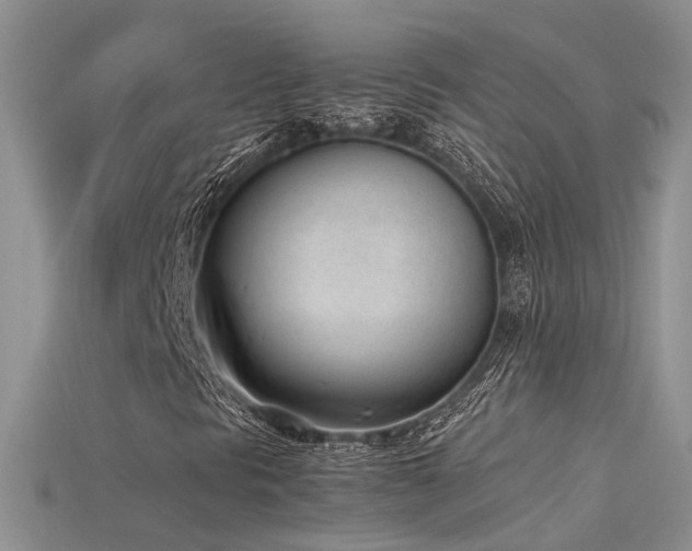 X0000115761297200911131147