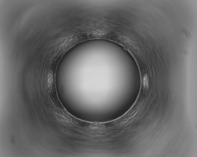 X0000115761299200911131147