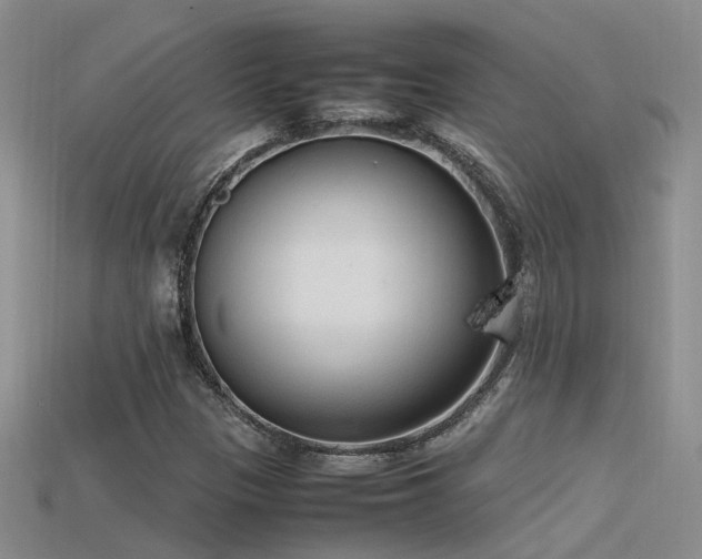 X0000115761305200911131147