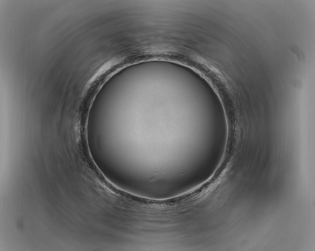 X0000115761306200911131147
