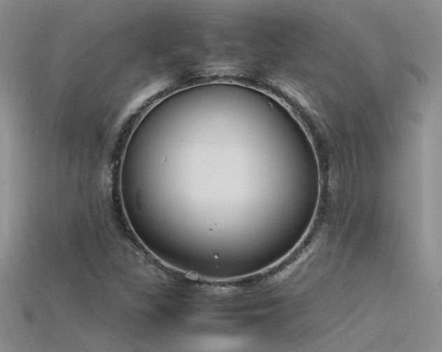 X0000115761309200911131147