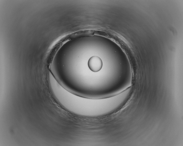 X0000115761310200911131147