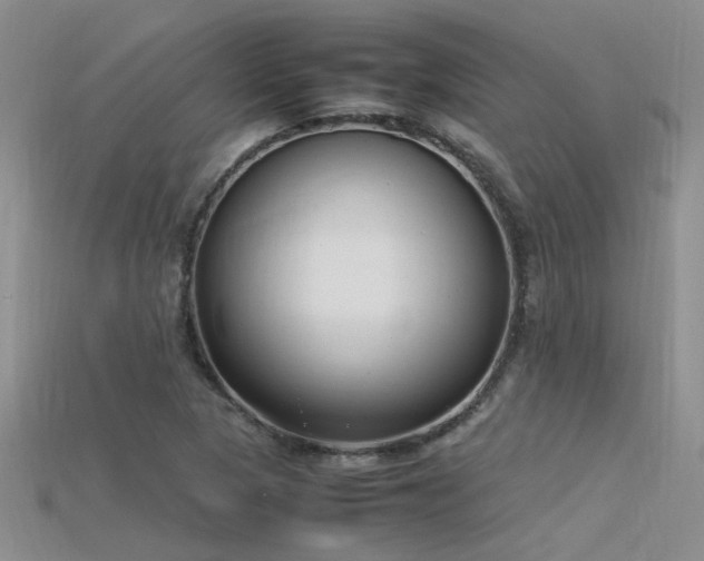 X0000115761313200911131147