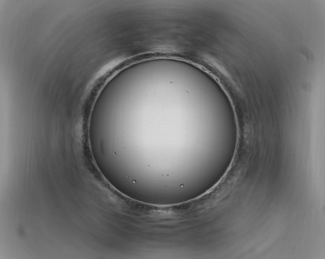 X0000115761315200911131147
