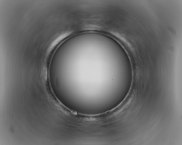X0000115761317200911131148