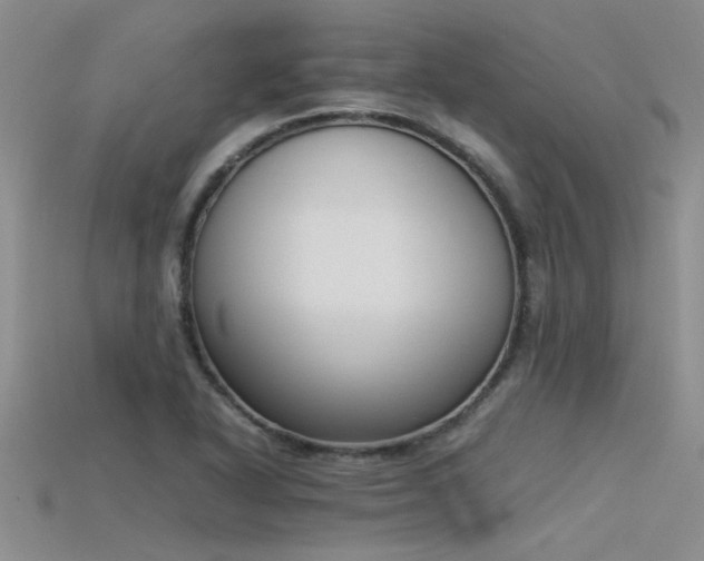 X0000115761318200911131148