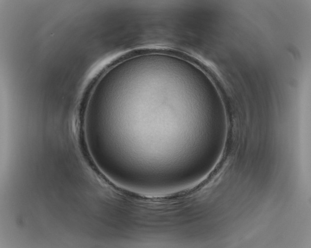 X0000115761319200911131148