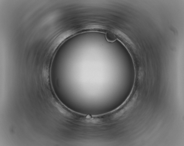 X0000115761321200911131148