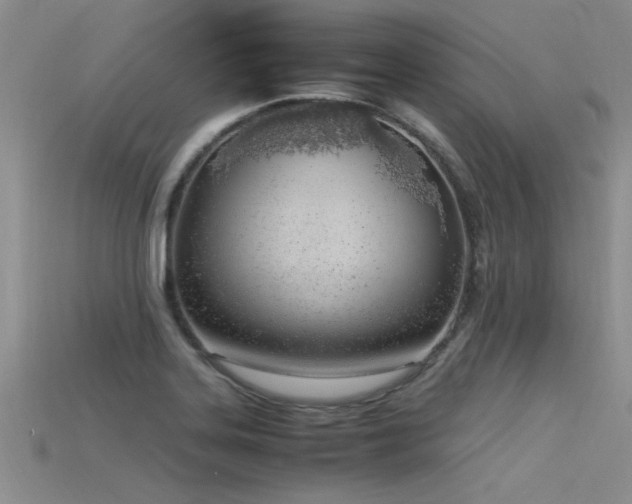 X0000115761323200911131148