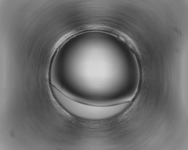 X0000115761330200911131148
