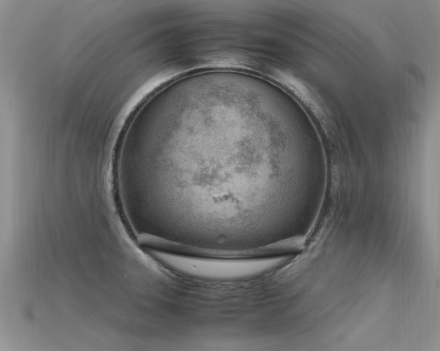 X0000115761331200911131148