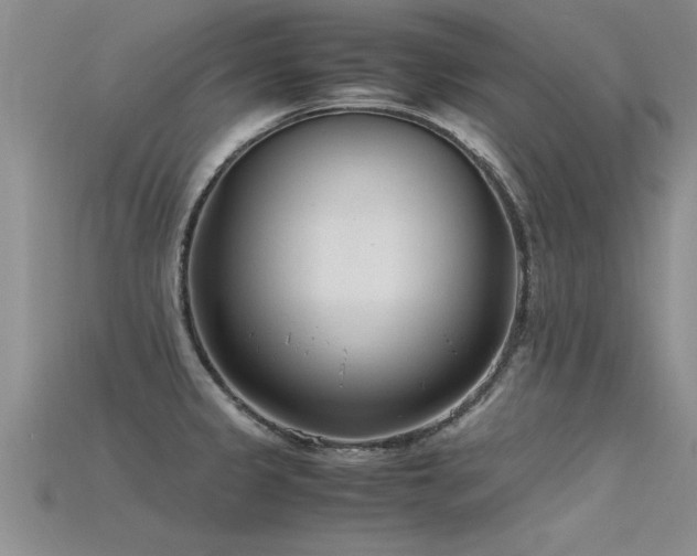 X0000115761333200911131148