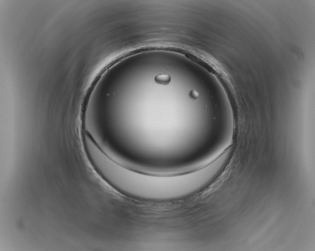 X0000115761334200911131148