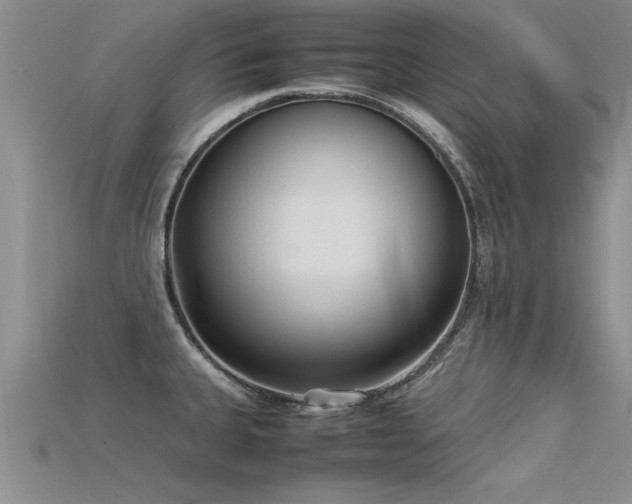 X0000115761335200911131148