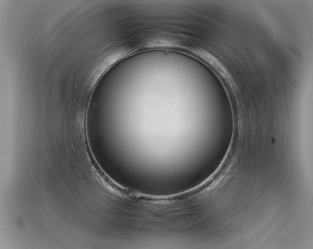 X0000115761337200911131148