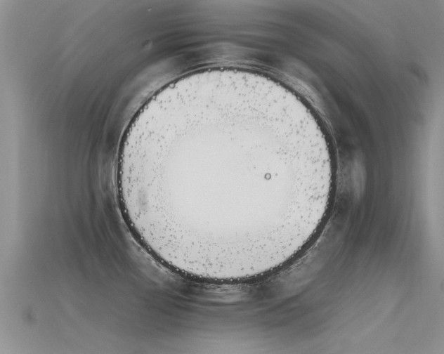 X0000115761338200911131148