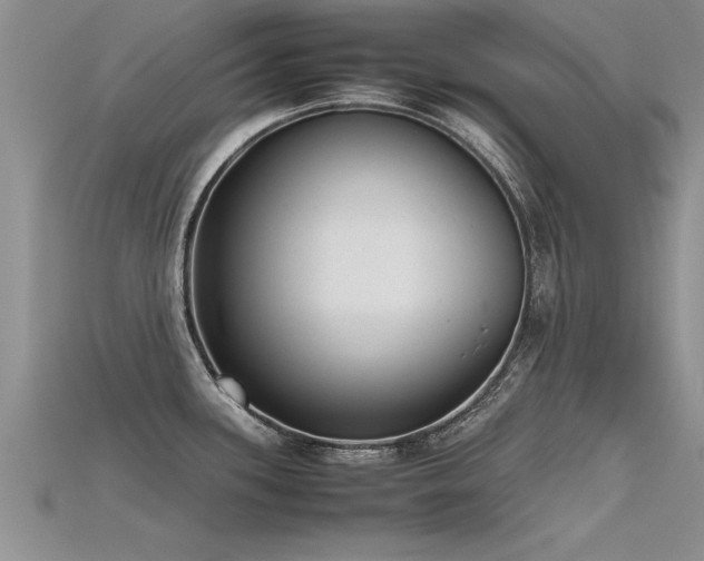 X0000115761339200911131148