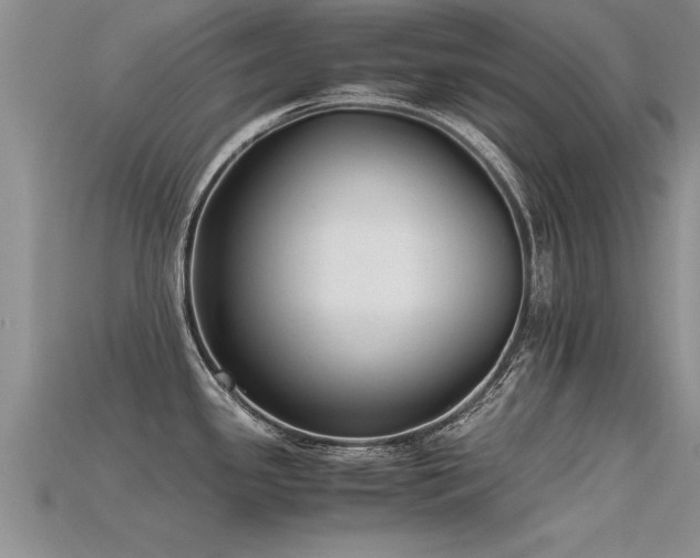 X0000115761341200911131148