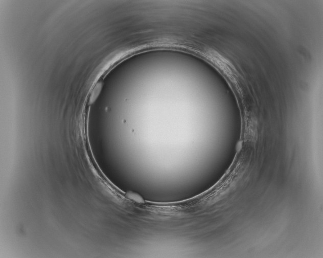 X0000115761342200911131148