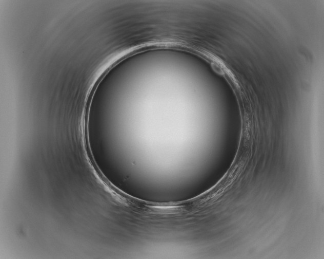 X0000115761343200911131148