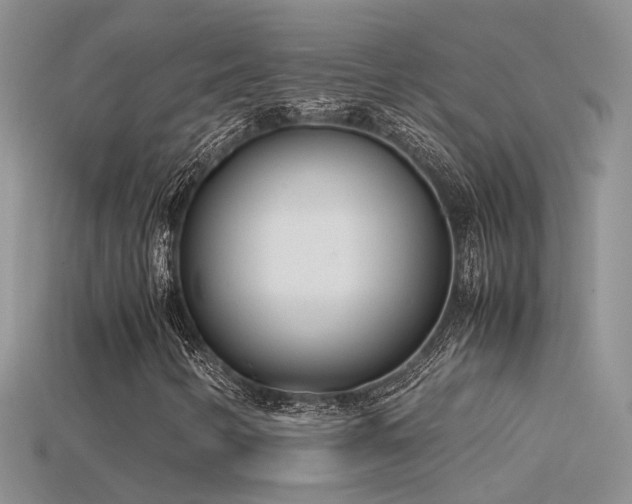 X0000115761346200911131147