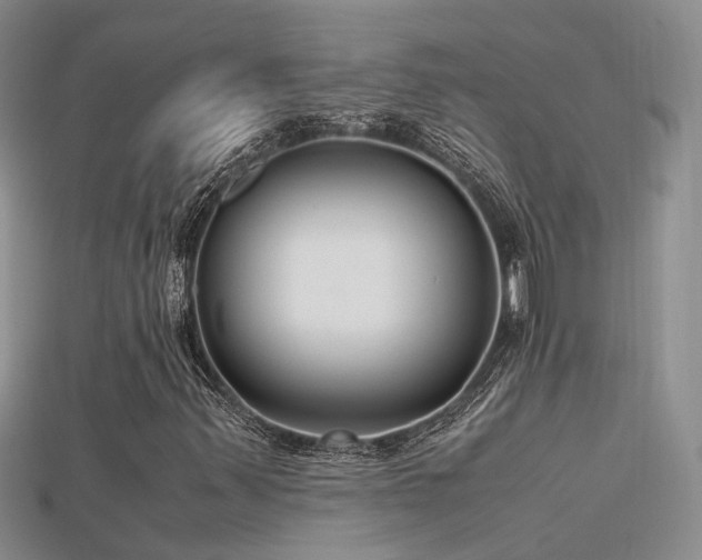 X0000115761347200911131147