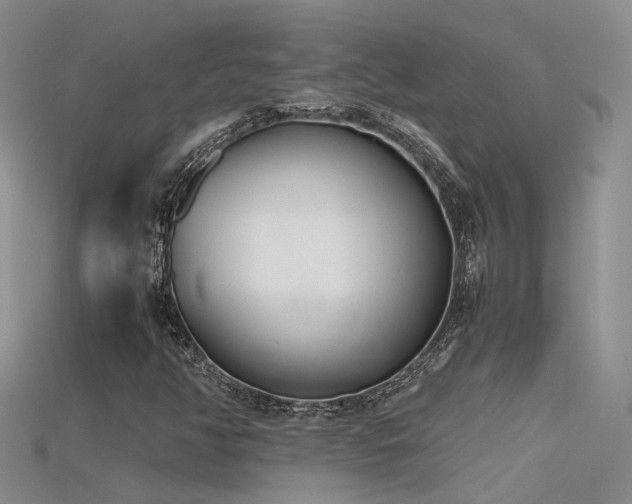 X0000115761350200911131147